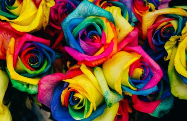 Photo of assorted-color petaled flowers by Photo by Denise Chan on Unsplash
